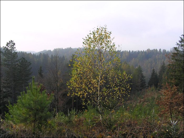Chrudim 003.jpg