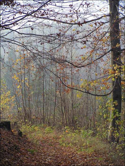Chrudim 018.jpg