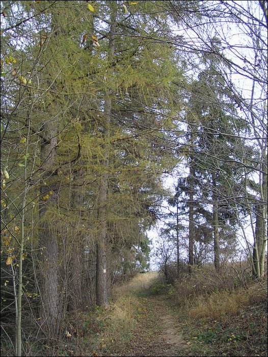Chrudim 022.jpg