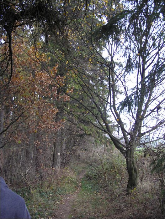 Chrudim 024.jpg