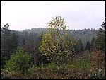 Chrudim 003.jpg