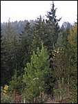 Chrudim 004.jpg