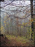 Chrudim 018.jpg