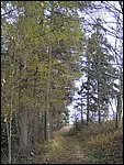 Chrudim 022.jpg