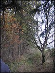 Chrudim 024.jpg