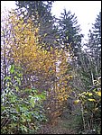 Chrudim 027.jpg