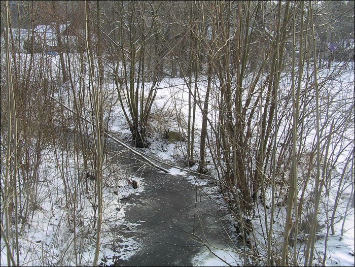 Roudna-271205 010.jpg