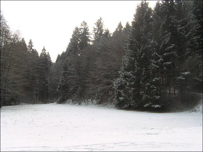 Roudna-271205 013.jpg
