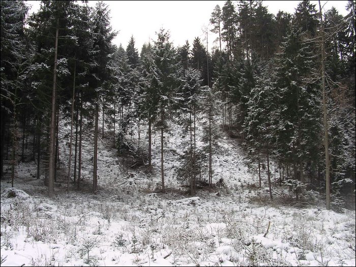 Roudna-271205 016.jpg