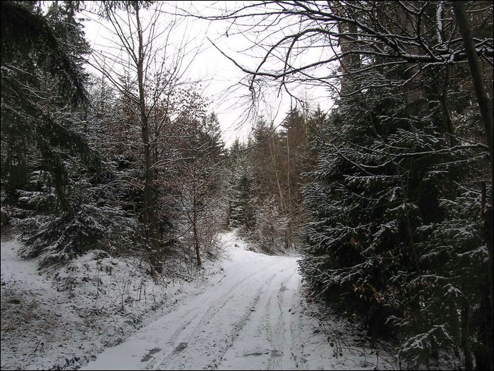 Roudna-271205 018.jpg