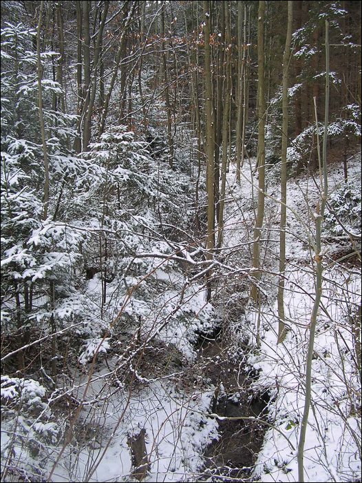 Roudna-271205 020.jpg
