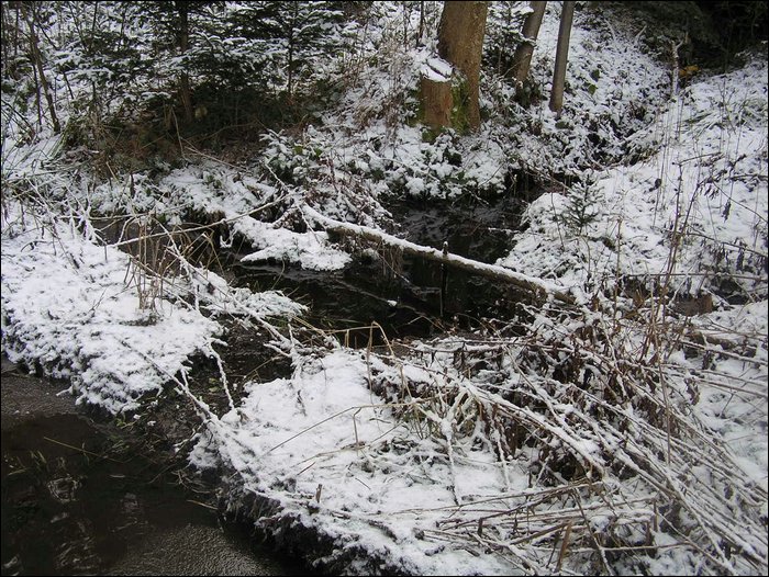 Roudna-271205 021.jpg