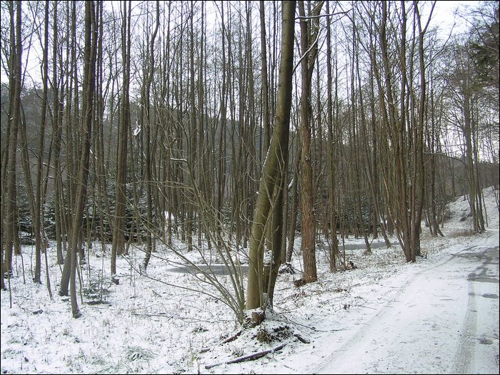 Roudna-271205 022.jpg