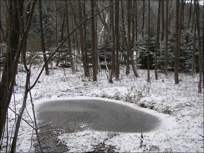 Roudna-271205 024.jpg