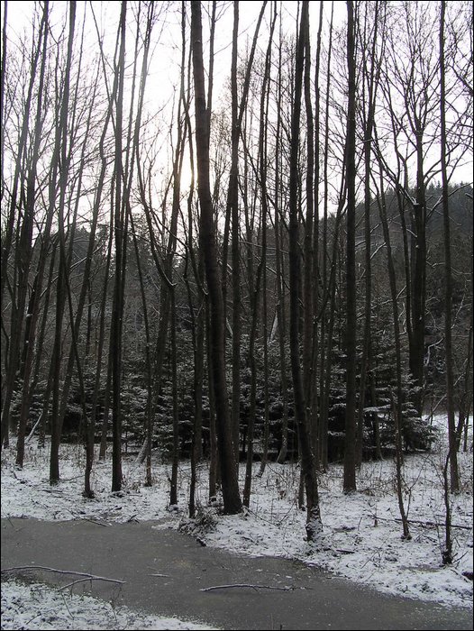 Roudna-271205 025.jpg