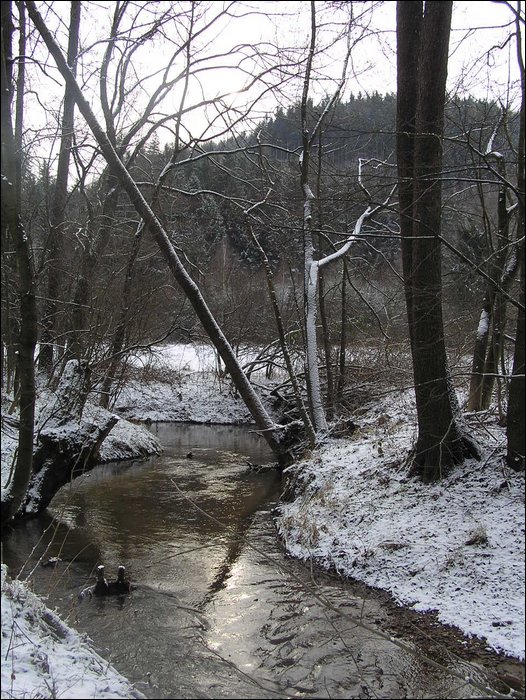 Roudna-271205 027.jpg