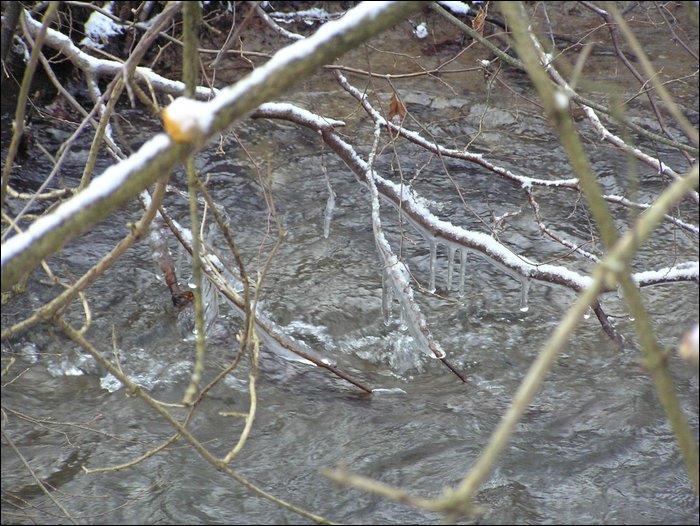 Roudna-271205 028.jpg