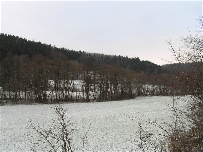 Roudna-271205 029.jpg