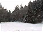 Roudna-271205 013.jpg