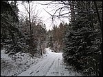 Roudna-271205 018.jpg