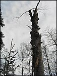 Roudna-271205 019.jpg