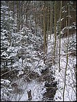 Roudna-271205 020.jpg