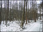 Roudna-271205 022.jpg