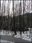 Roudna-271205 025.jpg