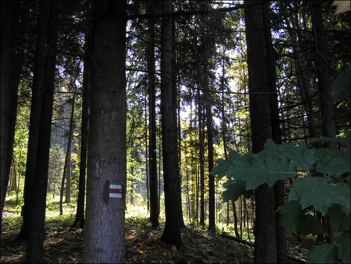 Ondra-101005 083.jpg