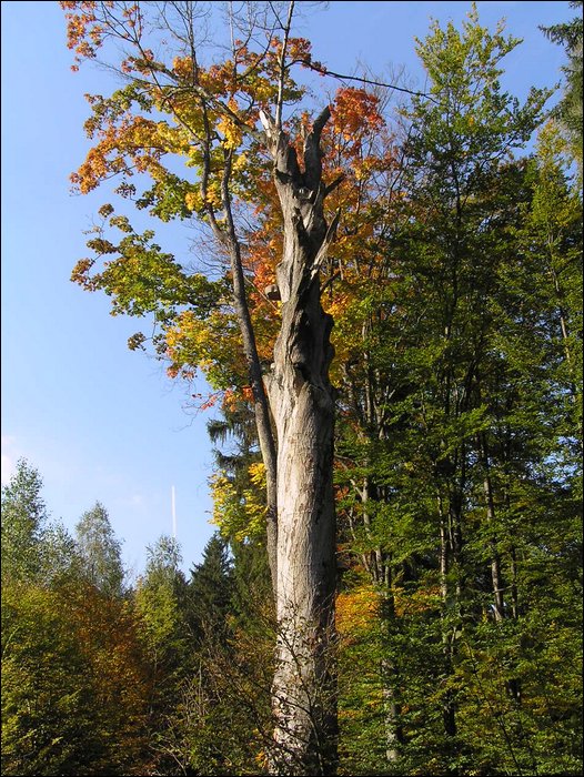 Ondra-101005 088.jpg