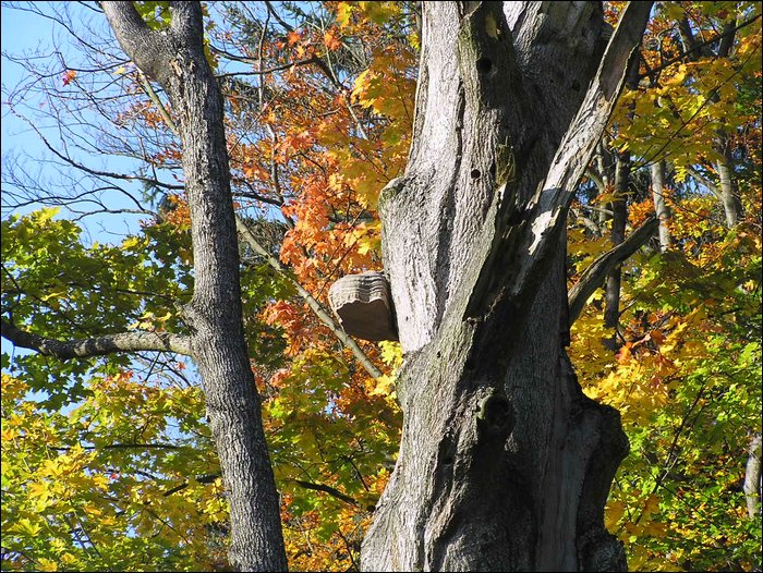 Ondra-101005 089.jpg