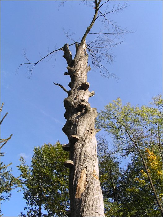 Ondra-101005 090.jpg