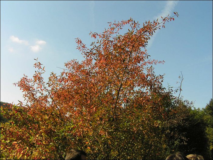 Ondra-101005 095.jpg