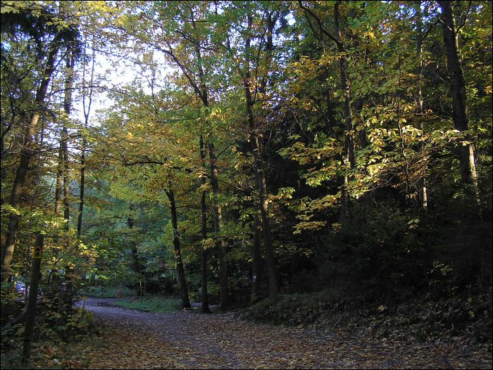 Ondra-101005 110.jpg