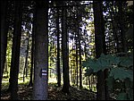 Ondra-101005 083.jpg