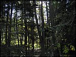 Ondra-101005 084.jpg