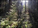 Ondra-101005 086.jpg