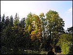 Ondra-101005 087.jpg