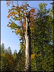 Ondra-101005 088.jpg