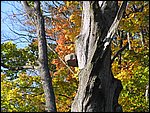 Ondra-101005 089.jpg