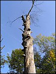Ondra-101005 090.jpg