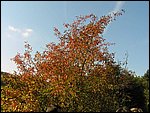 Ondra-101005 095.jpg