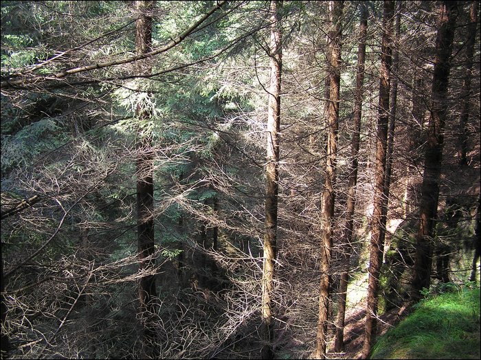 Roudna 013.jpg