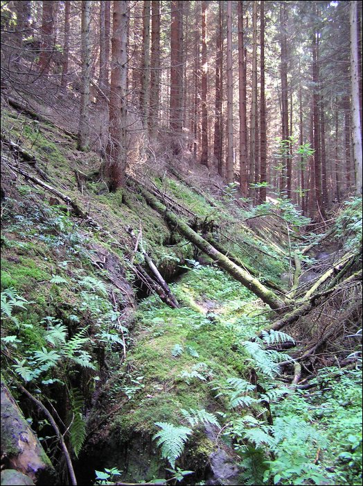 Roudna 015.jpg