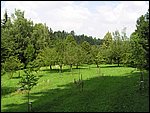 Roudna 012.jpg