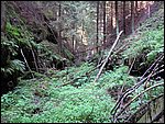 Roudna 016.jpg