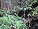 Roudna 017.jpg