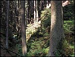 Roudna 021.jpg