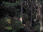 Roudna 022.jpg