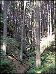 Roudna 023.jpg